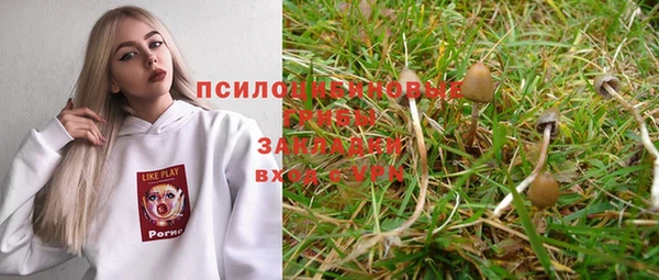 дмт Алексеевка