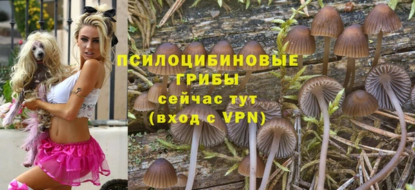 винт Абаза