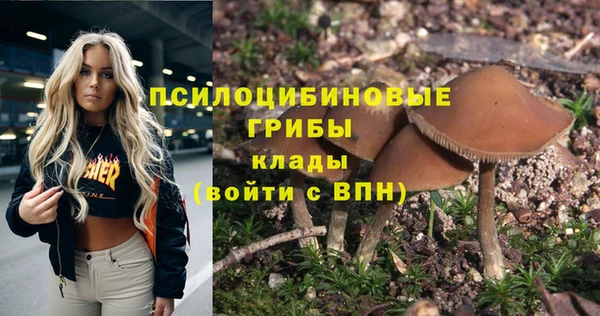 дмт Алексеевка