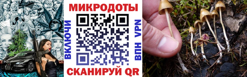 Галлюциногенные грибы прущие грибы  гидра онион  Томилино  продажа наркотиков 